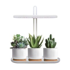 3c1740a83cb7566a4d5a55f5be87be63