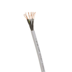 ce55b0b2858ec6b94c5bc7ce0006d0f2